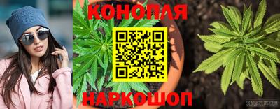 ГАЛЛЮЦИНОГЕННЫЕ ГРИБЫ Обь