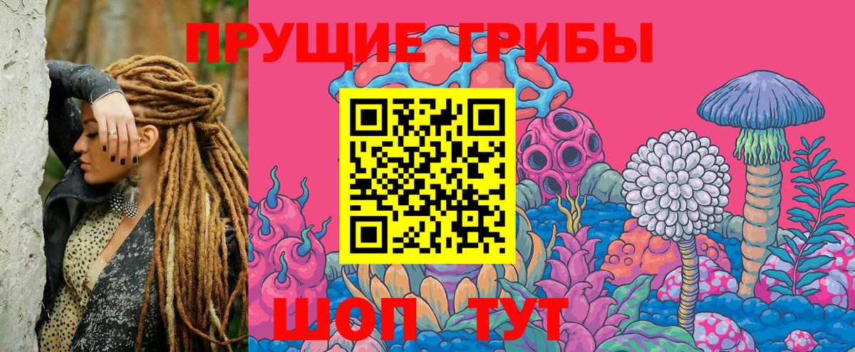 Псилоцибиновые грибы Psilocybe  Вход с VPN  Трёхгорный 